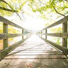 Brücke zur Insel Werd