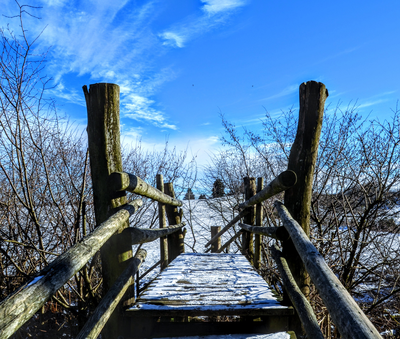 Brücke zur Natur 