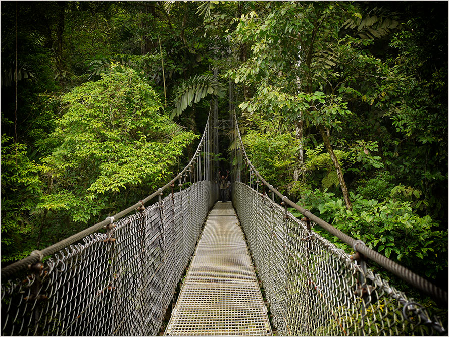 Brücke zur Natur