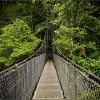Brücke zur Natur