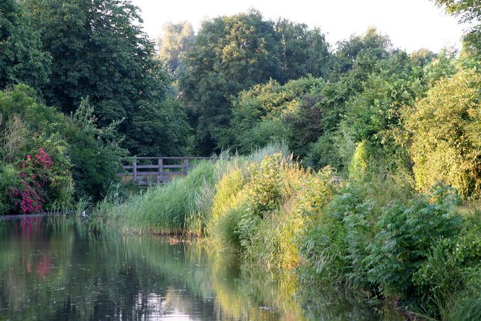 Brücken am Fluss