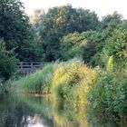 Brücken am Fluss