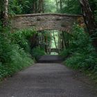 Brücken im Wald