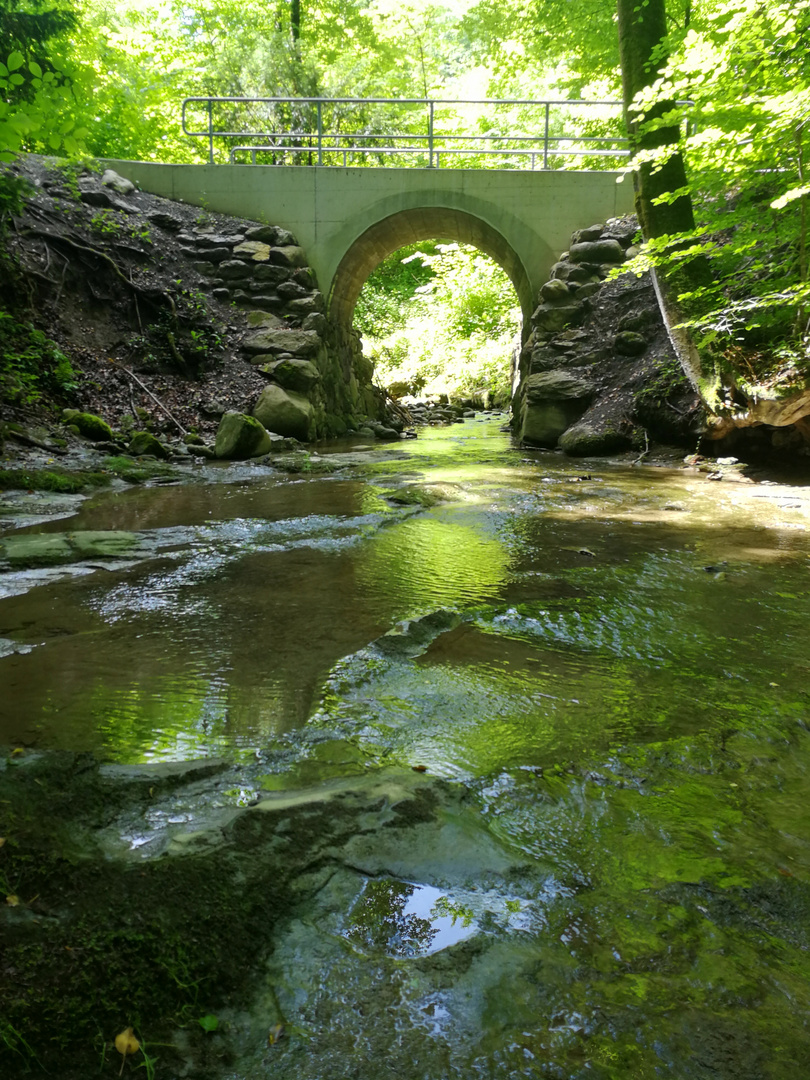 Brücken verbinden VII