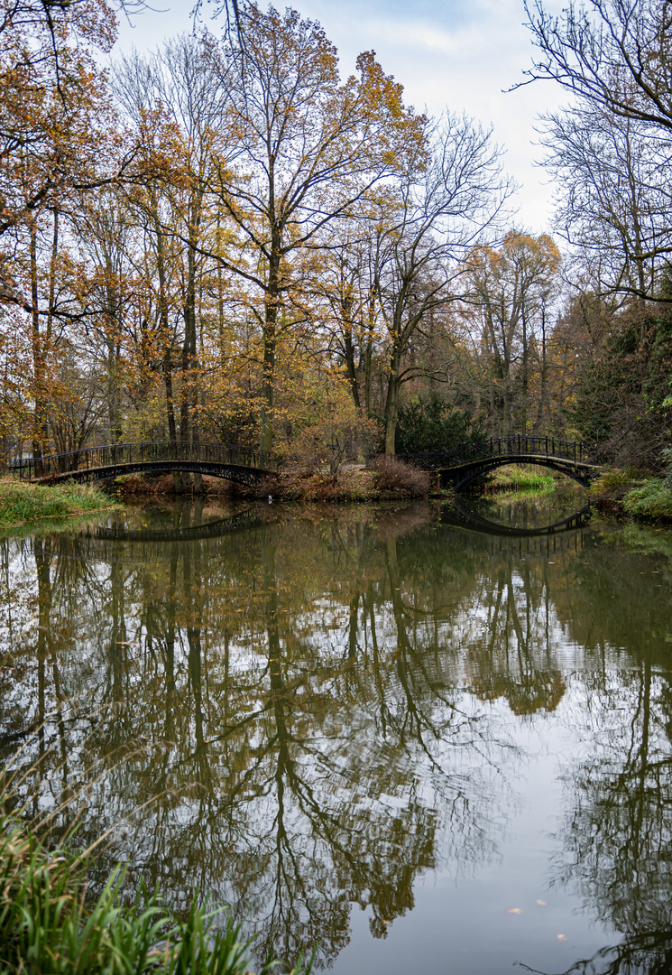 Brücken zum Glück 