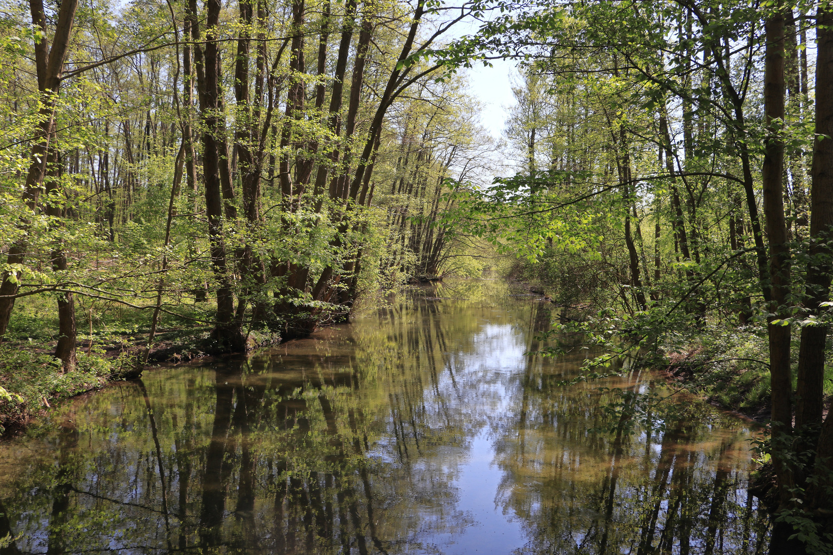 Brückenblick