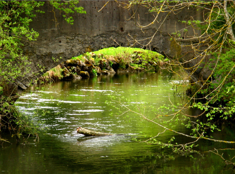 Brückenbogen