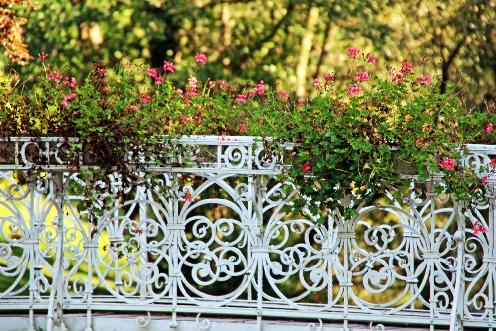 Brückengeländer mit Blumen