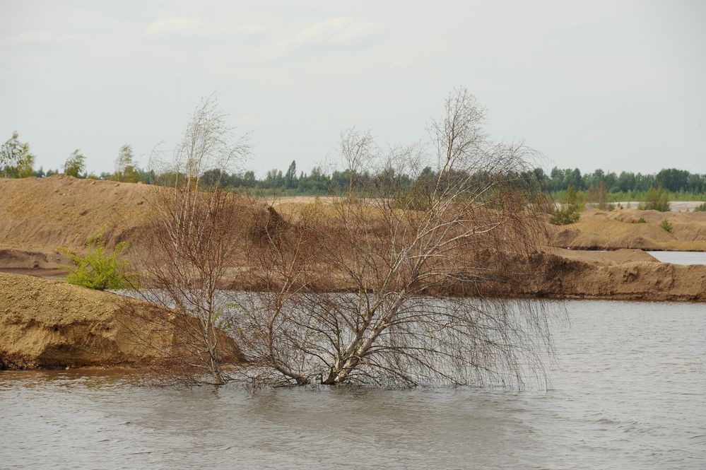 Brückenkippe Zwenkau 2011