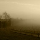 Brückenkopf im Nebel