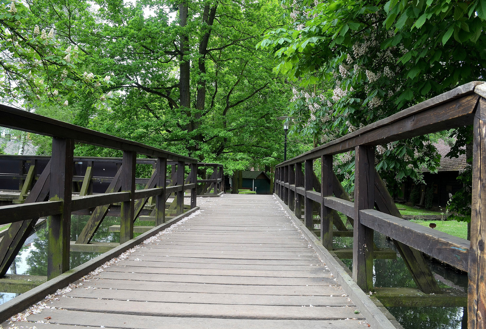 Brückenkreuzung im Spreewald