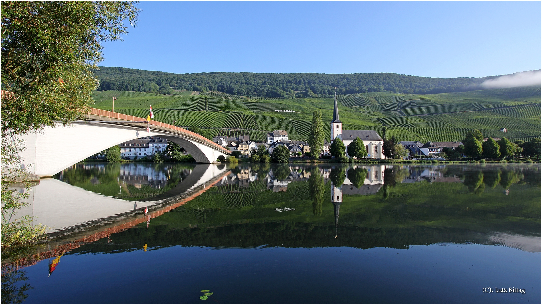 Brückenspiegelung mit Weinberg