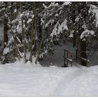 Brückerl im Schnee