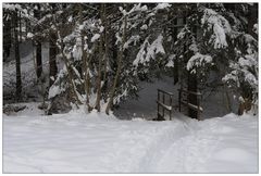 Brückerl im Schnee