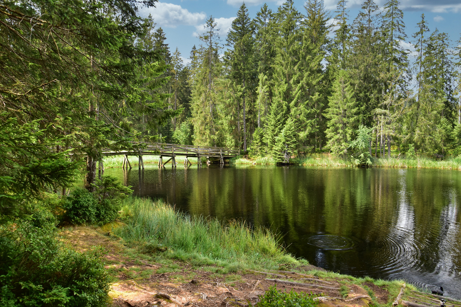 Brücklein am Etang de la Gruère