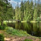 Brücklein am Etang de la Gruère