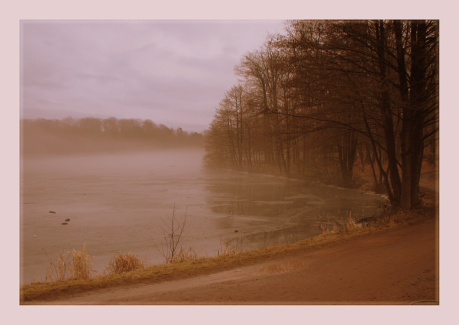 Brückweiher - Impression