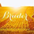 brüder