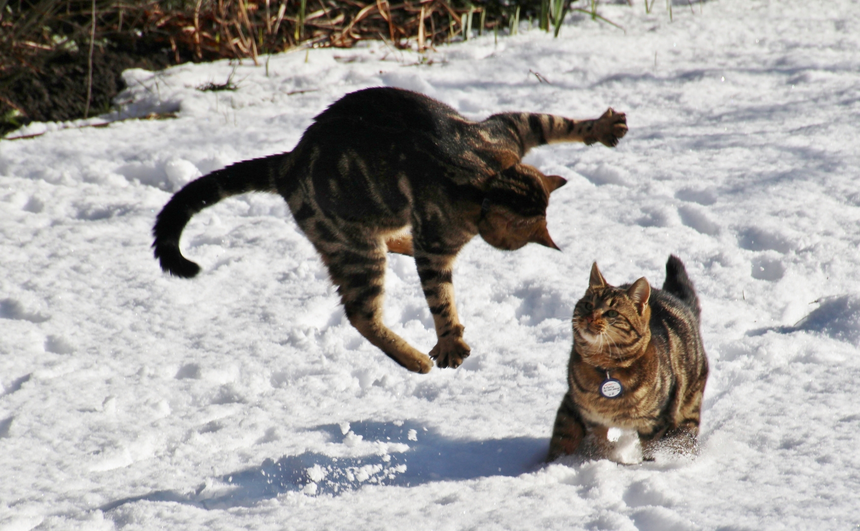 Brüder und der erste Schnee...