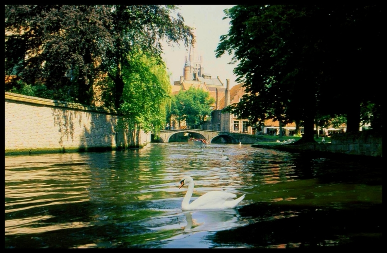 Brügge im Sommer