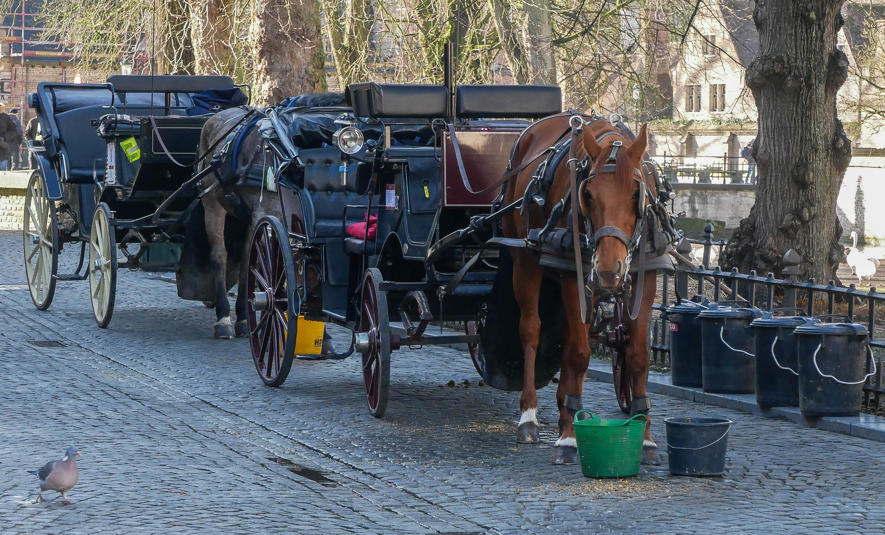 Brügge sehen & lieben