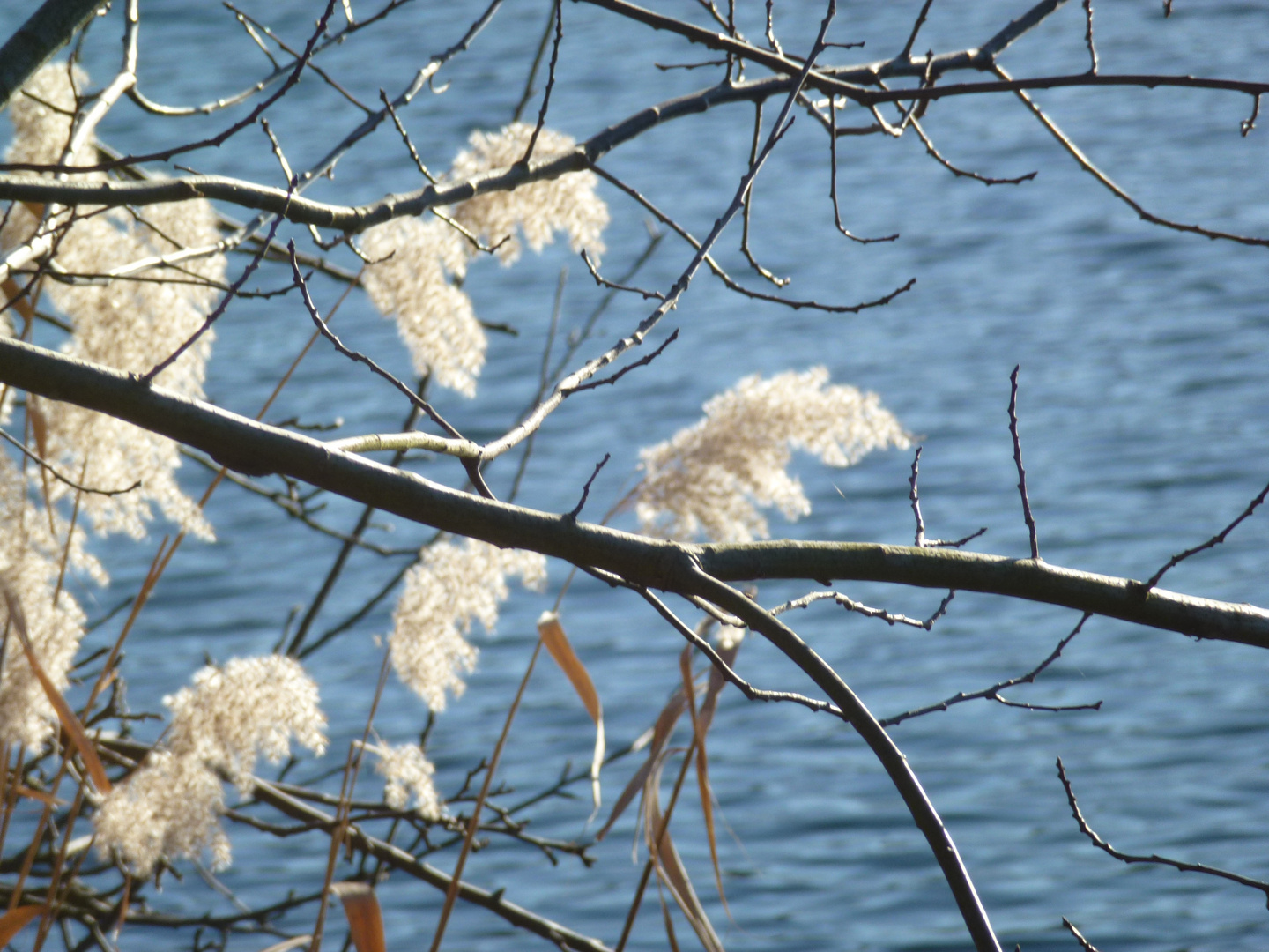 Brühl, Berggeistweiher