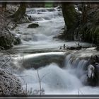 Brühlbach bei Bad Urach