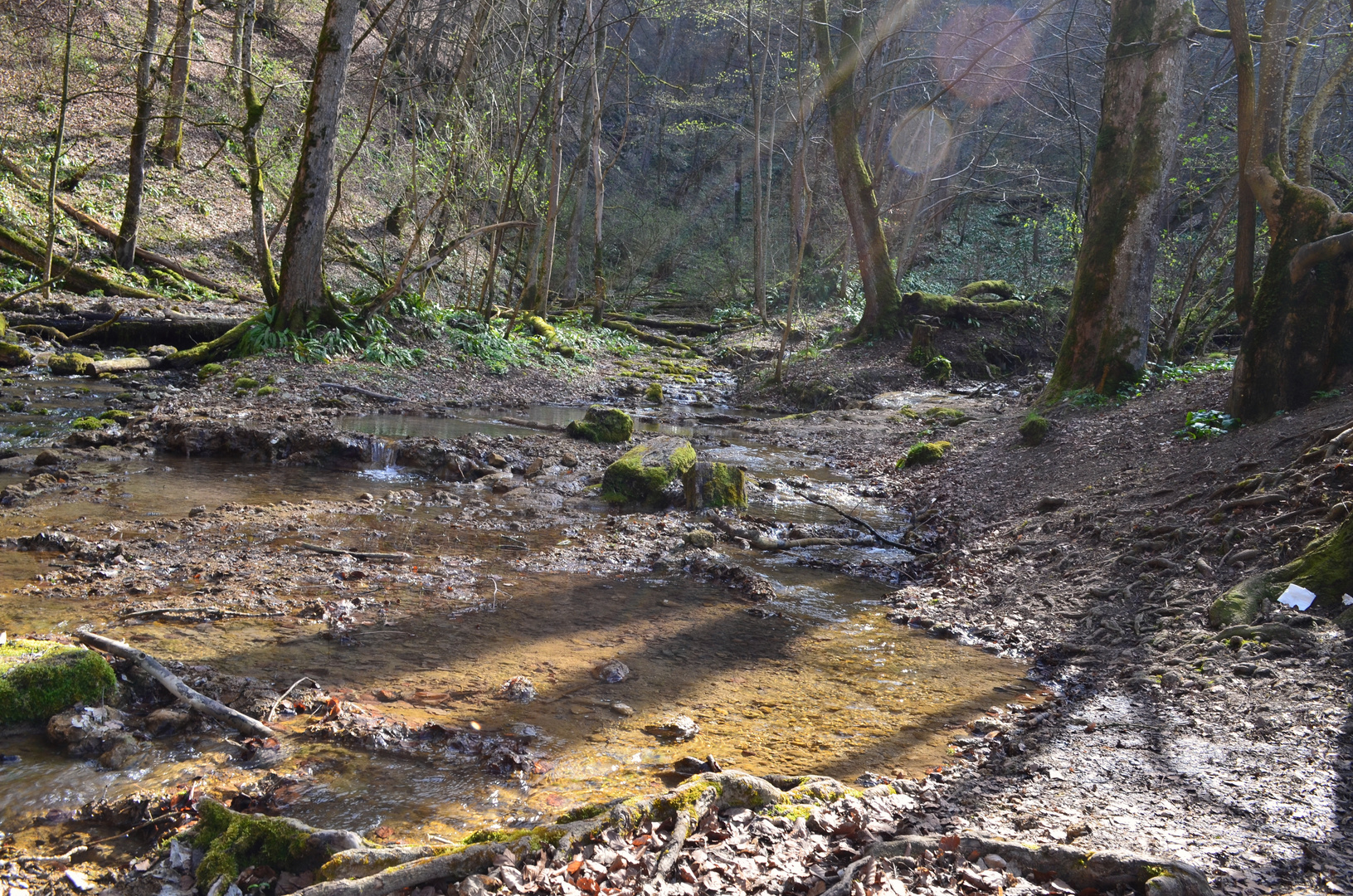 Brühlbach im Maisental bei Bad Urach