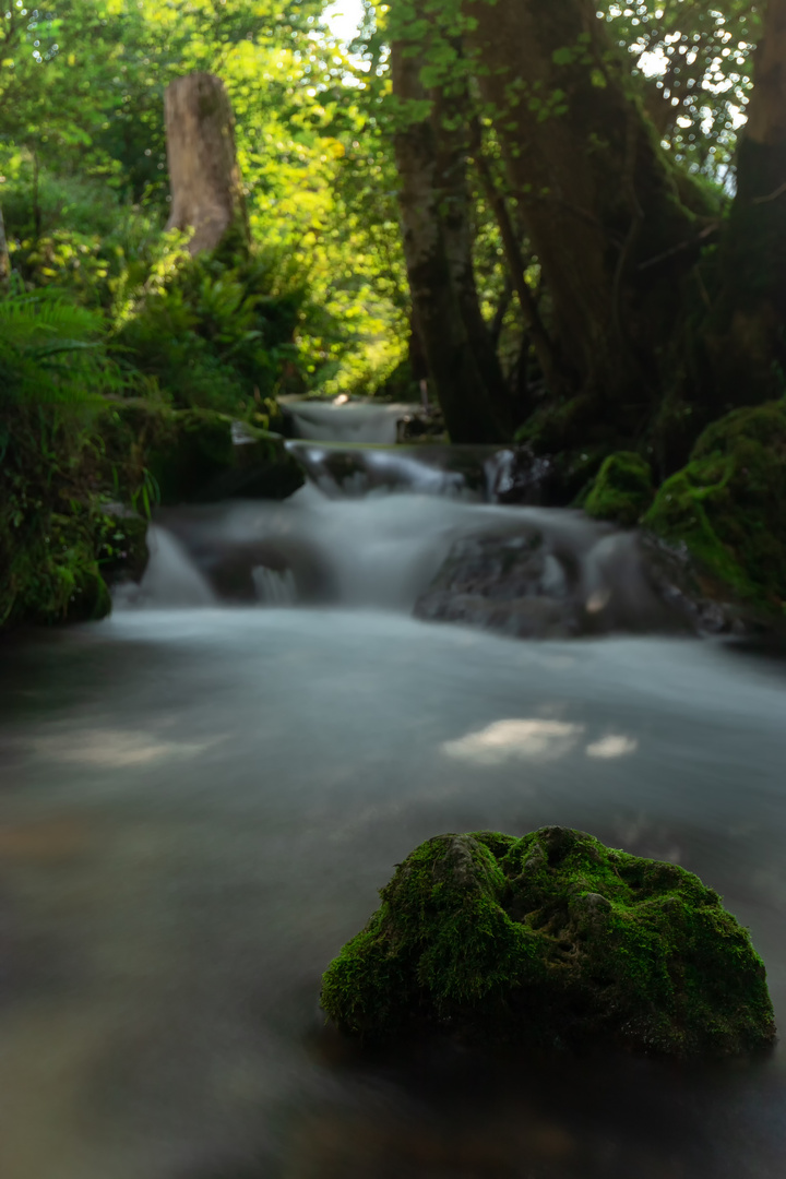 Brühlbachtal Bad Urach LZB