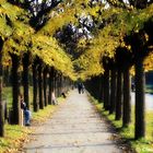 Brühler Schlossgarten im Herbst