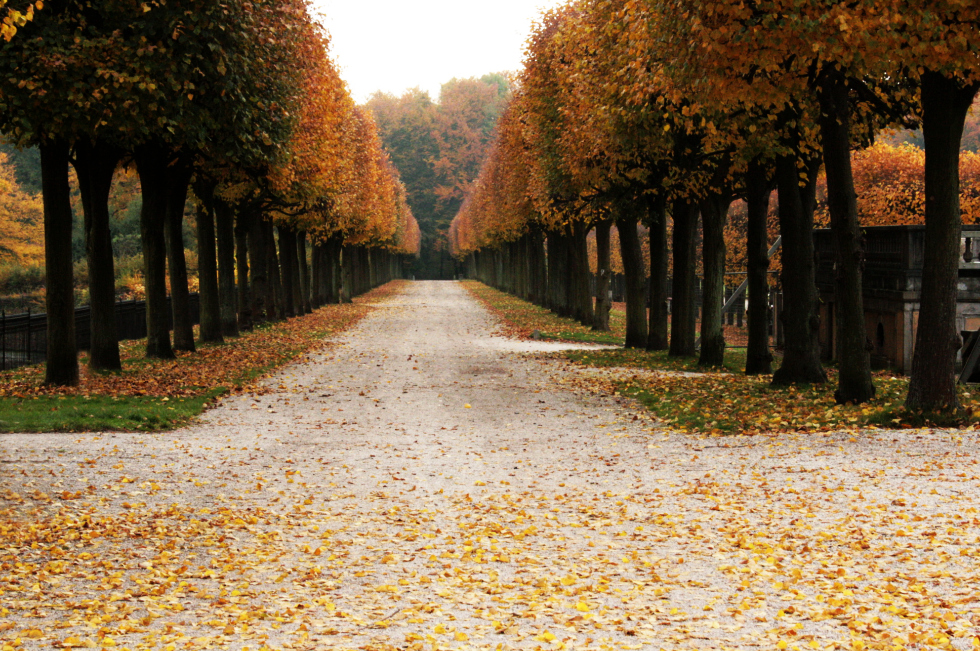 Brühler Schlosspark Allee