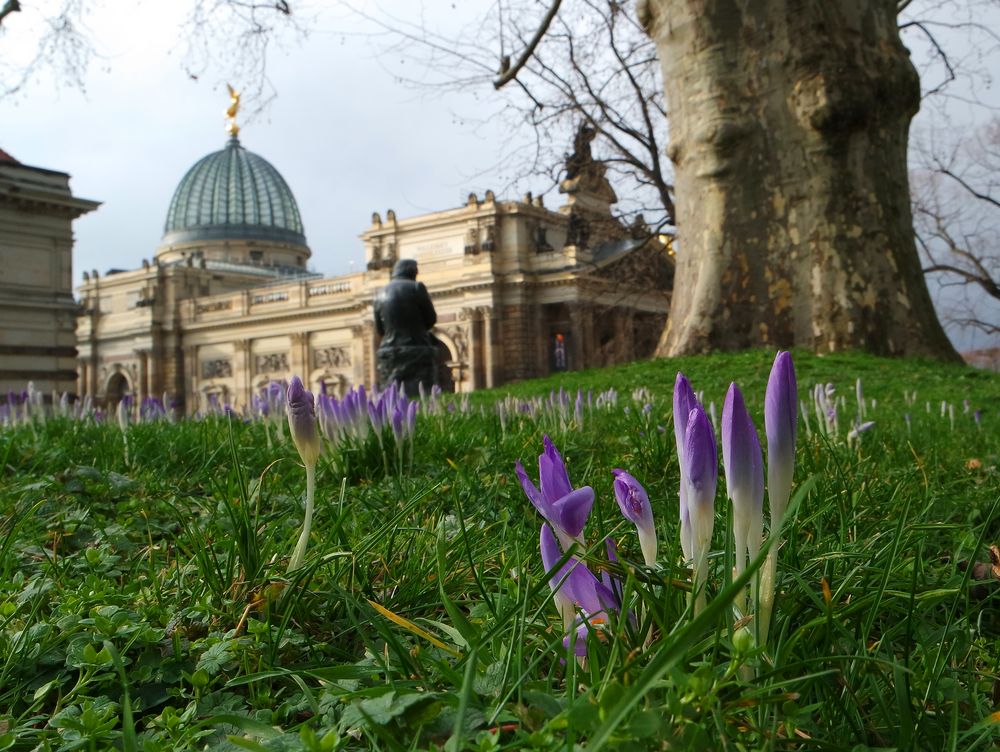 Brühlsche Terasse/Dresden im Frühling