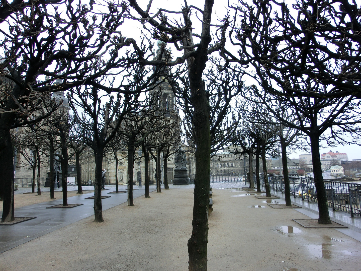 Brühl´sche Terrasse im Winter