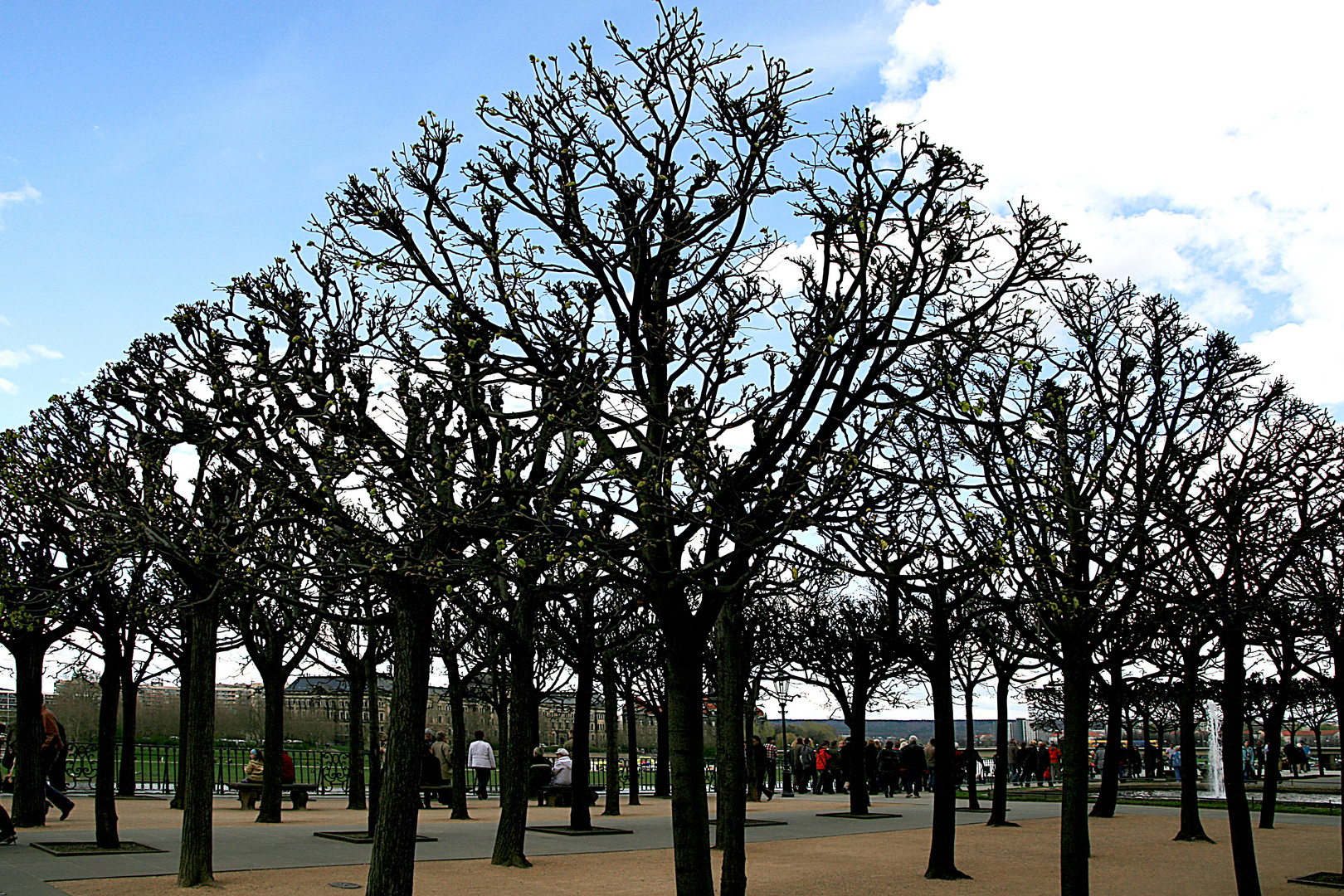 Brühlsche Terrassen