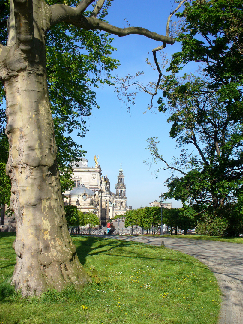 Brühlsche Terrassen in Dresden