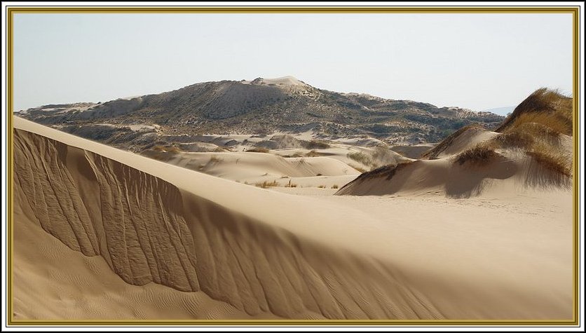 Bruellduenen in Witsand