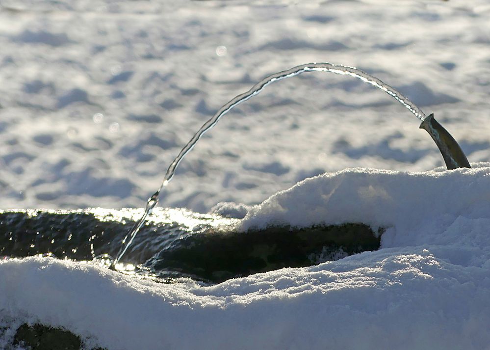 Brünnlein im Schnee