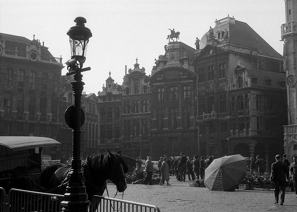 Brüssel 1965 Grand Place Blumenmarkt