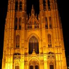 Brüssel - Nacht - Kathedrale