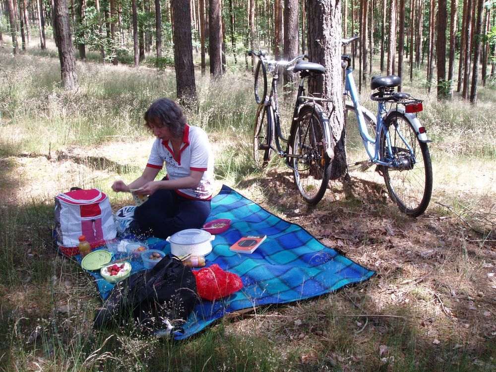 brüten und Essen