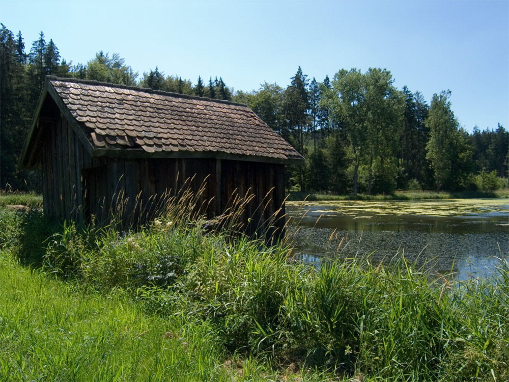 Brütende Hitze am Tümpel