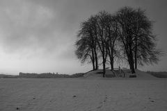 Brütten im Winter