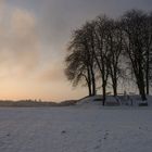 Brütten im Winter Farbe