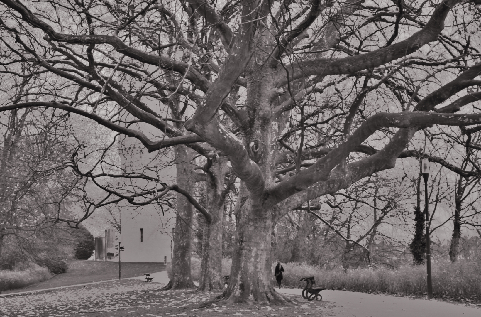 bruges- vesten im winter