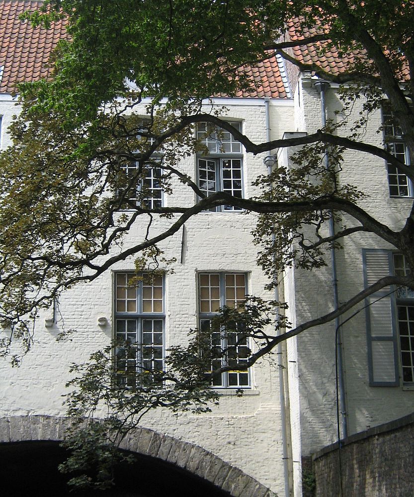 Bruges windows