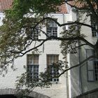 Bruges windows