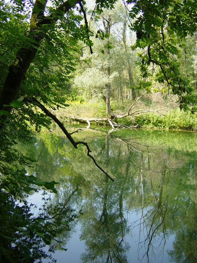 Brugg, Schweiz