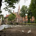 Brugge - Minnewater - 01