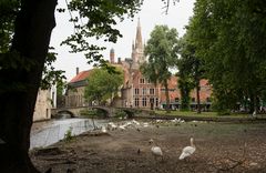 Brugge - Minnewater - 01