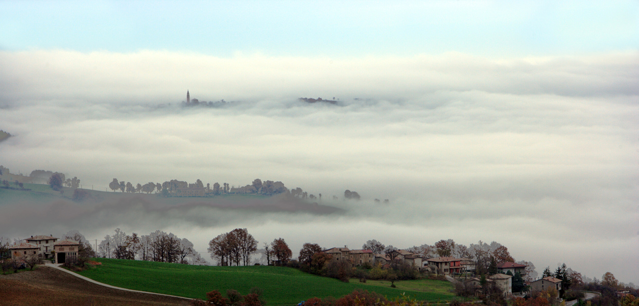 Brughiera d'Autunno